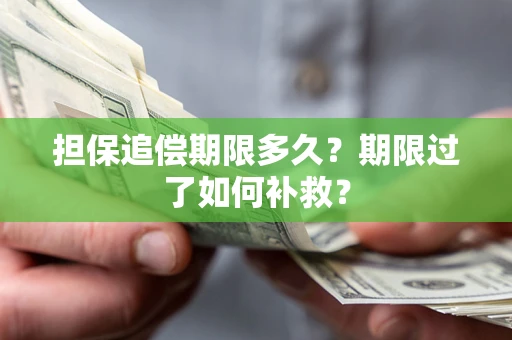 武汉担保追偿期限多久？期限过了如何补救？