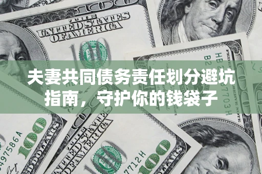 武汉夫妻共同债务责任划分避坑指南，守护你的钱袋子