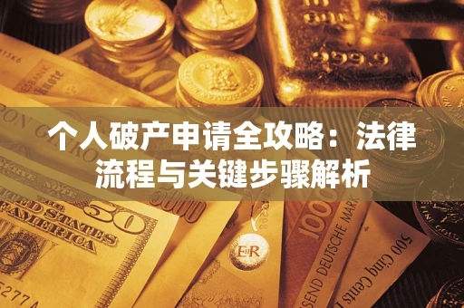 武汉个人破产申请全攻略：法律流程与关键步骤解析