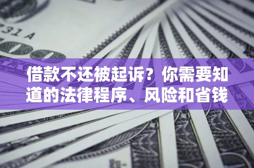 武汉借款不还被起诉？你需要知道的法律程序、风险和省钱技巧